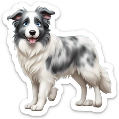 Blue eyes Seal merle Border collie walking sticker