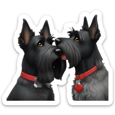 Senior Two black Scottish terrier kissing sticker