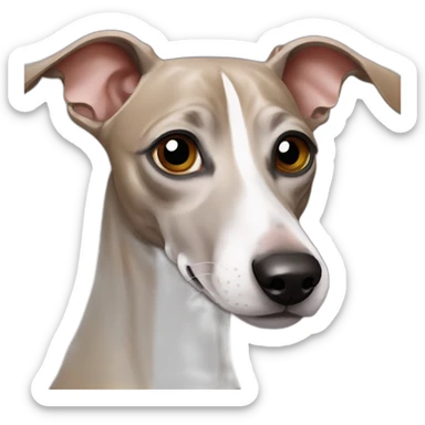 Italian greyhound sticker