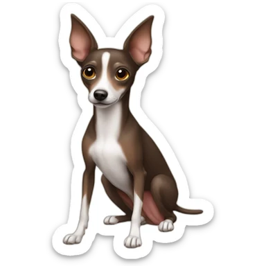 full body all brown and black italian greyhound chihuahua sticker