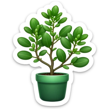 Cinematic Realistic Jade Plant Emoji, Thick and glossy, with dark green, round leaves that shine under the light. The sturdy stems and vibrant foliage give a sense of prosperity and tranquility. Soft glowing outline, capturing the essence of good luck, growth, and natural elegance in a flourishing jade plant! sticker