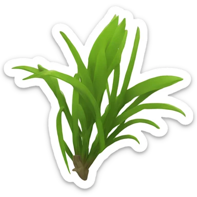 	Flatspike sedge sticker