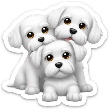 2 Maltese dogs hugging each other  sticker