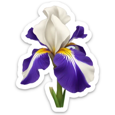 Iris flower sticker