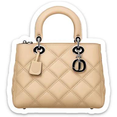  Christian Dior bag sticker