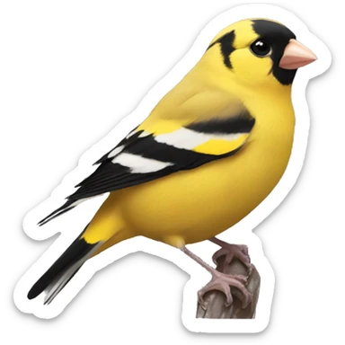 Gold finch sticker