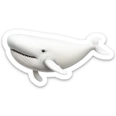 white whale , underside sticker