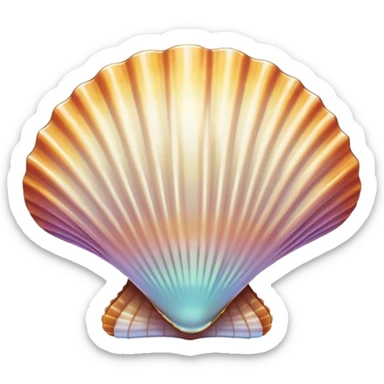 Scallop shell sticker