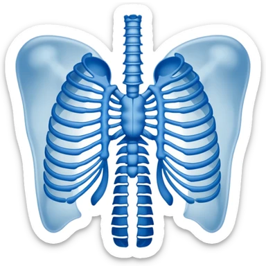 ribs that is in an xray format make it blue and white sticker