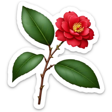 single red Camellia flower, stem sticker