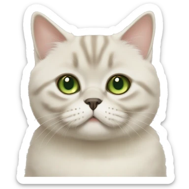 fluffy Cream british shorthair green eyes more beige sticker