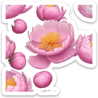 Peony  sticker