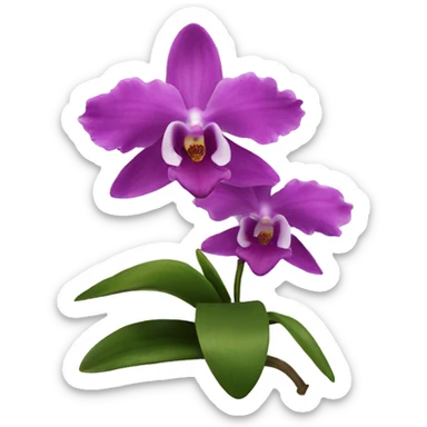 Orchid sticker