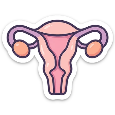 female uterus, anatomically accurate and detailed, detailed shadows and highlights, thin clean contours, soft rounded shapes, pastel palette #98B5BC, #B5B3C1, #C9A3C9, #E4C0CA, #F7DCD1, #F7C0AA, modern Japanese pop art and sticker aesthetic, soft lighting, transparent background sticker