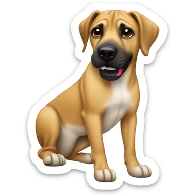 Black Mouth cur dog using a camera sticker