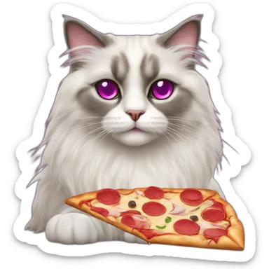 Ragdoll cat with magenta eyes and grey furr, eating a pizza, sitting on the floor sticker
