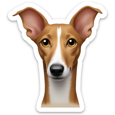 Podenco  sticker