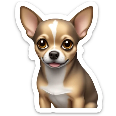 chihuahua with brown grey colors sticker