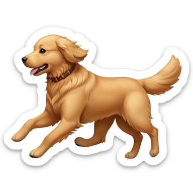 Golden retriever dog running at full speed sticker