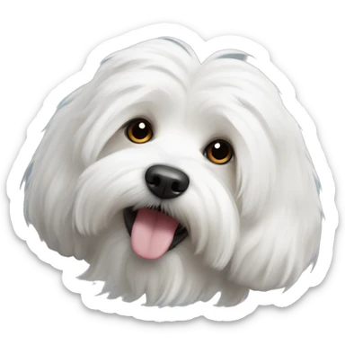 Coton de tulear dog sticker