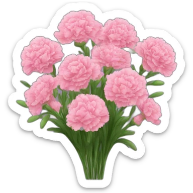flowers bouquet carnations sticker
