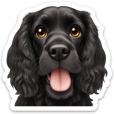 Black english cocker spaniel sticker