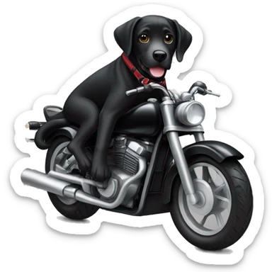 cool black lab riding motorbike sticker