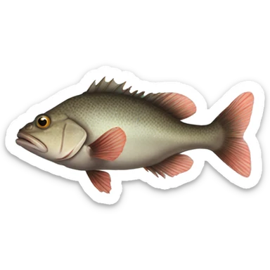 grouper sticker