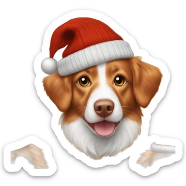 Orange and white Nova Scotia duck toller dog wearing a Christmas sweater and hat sticker