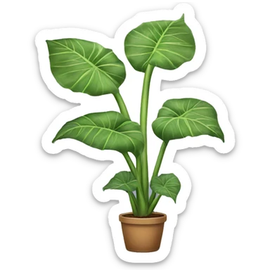 Alocasia plant sticker
