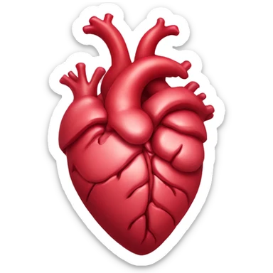 Anatomical heart sticker