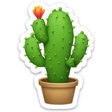 single flat Nopal without pot sticker