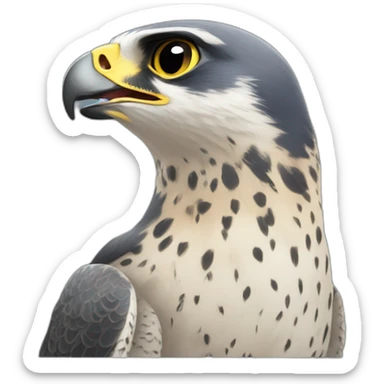 Peregrine falcon happy sticker