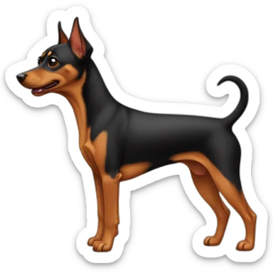 pinscher nain sticker