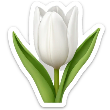 White tulip sticker