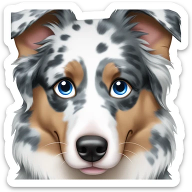 Blue Merle Australian Shepherd with Blue Eyes sticker
