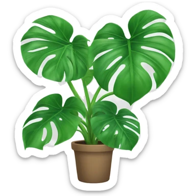 Monstera plant sticker