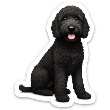Black golden doodle   sticker