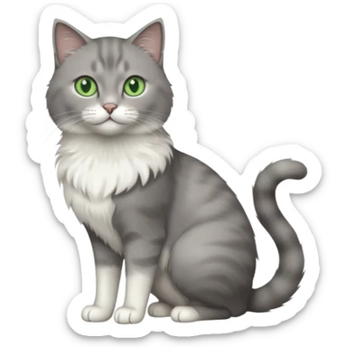 full body view of beautiful female grey cat with green eyes, white toes and white chest sticker