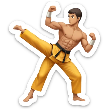 person performing a martial arts high kick sticker