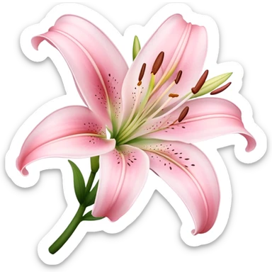 light pink lilium sticker