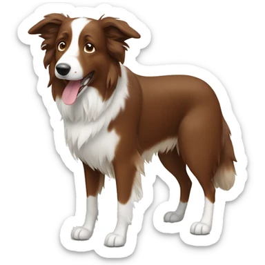 brown bordercollie with floppy brown ears  sticker