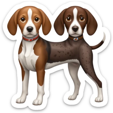 beagle and german shorthaired pointer sticker