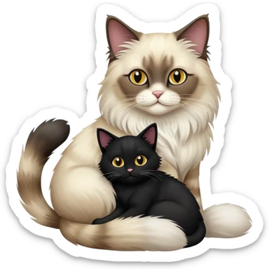 A ragdoll cat hugging a black cat  sticker
