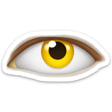 dual contact lens case sticker