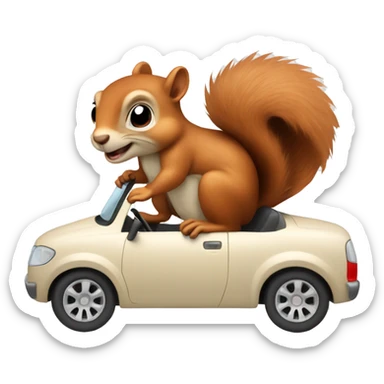 squirrel in a car sticker