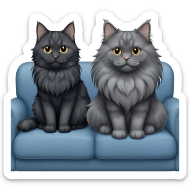A large black smoke Maine Coon cat with long grey ear tufts and a fluffy grey ruff, sitting next to a chubby British Shorthair cat in blue color with plush fur, both sitting comfortably on a sofa. Beautiful room background with flowers and soft lighting. Transparent background. sticker