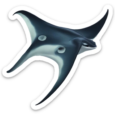 Raie manta sticker