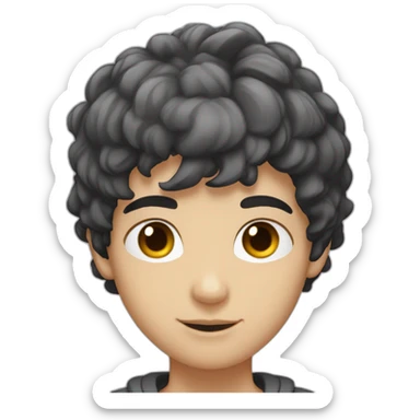 Boy 20 y.o. black hair amber eyes white skin sticker