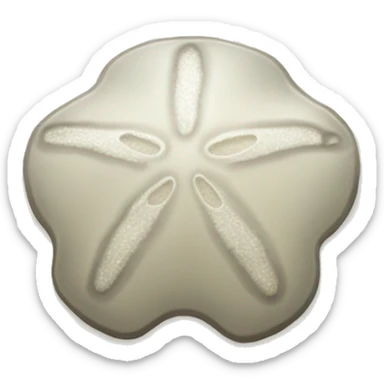 Sand dollar sticker